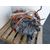 Motor Completo para Bmw I8 (I12)