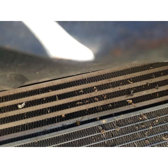 Intercooler Para Jaguar Xf