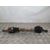 Transmision Delantera Izquierda Para Peugeot 206 Berlina