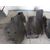 Paragolpes Delantero Para Bmw X4