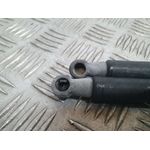 Amortiguadores Maletero / Porton Para Peugeot 108 Top