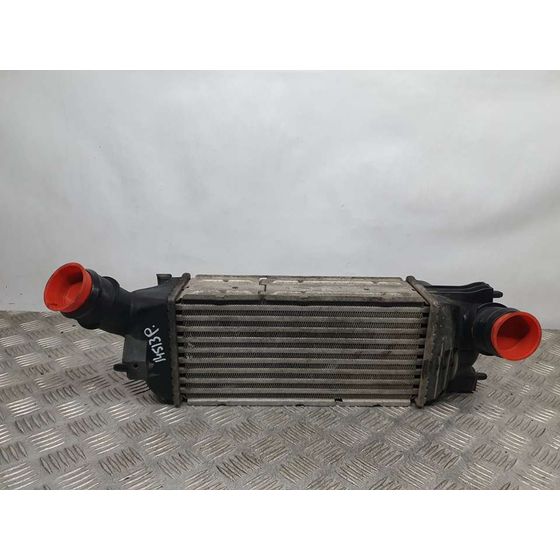 Intercooler Para Peugeot 407
