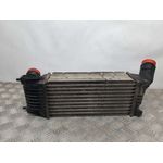 Intercooler Para Peugeot 407