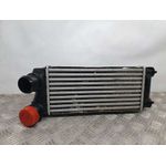 Intercooler Para Citroen C4 Lim.