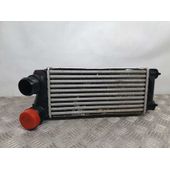 Intercooler Para Citroen C4 Lim.