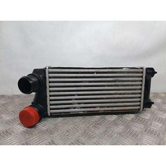 Intercooler Para Citroen C4 Lim.
