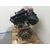 Motor Completo Para Toyota Aygo