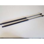 Amortiguadores Maletero / Porton Para Bmw Serie 1 Lim.
