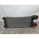Intercooler Para Citroen Ds4