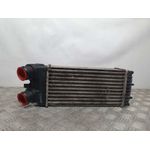 Intercooler Para Citroen Xsara Picasso