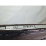 Radiador Agua para Peugeot 308