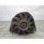 Alternador Para Peugeot 205 Berlina