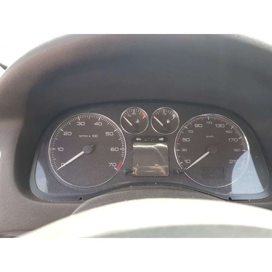 Cuadro Instrumentos Para Peugeot 307 Break/Sw