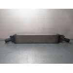 Intercooler Para Audi A4 Ber.