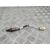 Sonda Lambda Para Lexus Is