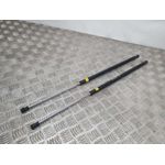 Amortiguadores Maletero / Porton Para Citroen C-Zero