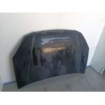 Capot Para Kia Rio
