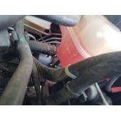 Abs Para Mg Zs
