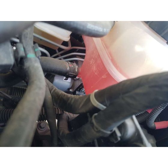 Abs Para Mg Zs