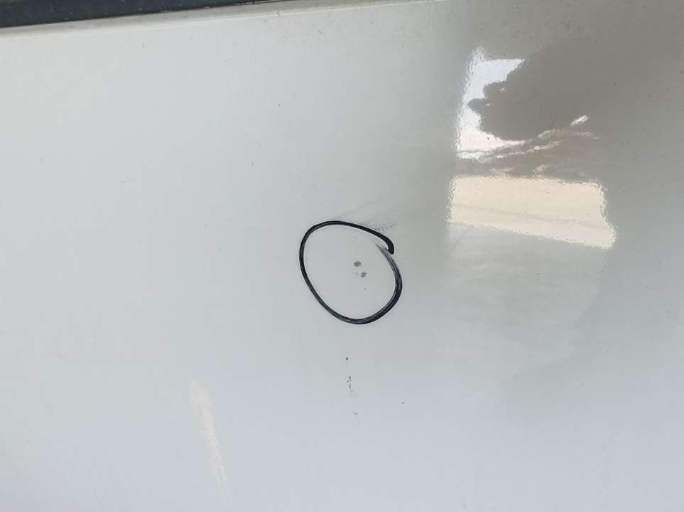 Puerta Trasera Izquierda Para Dacia Lodgy