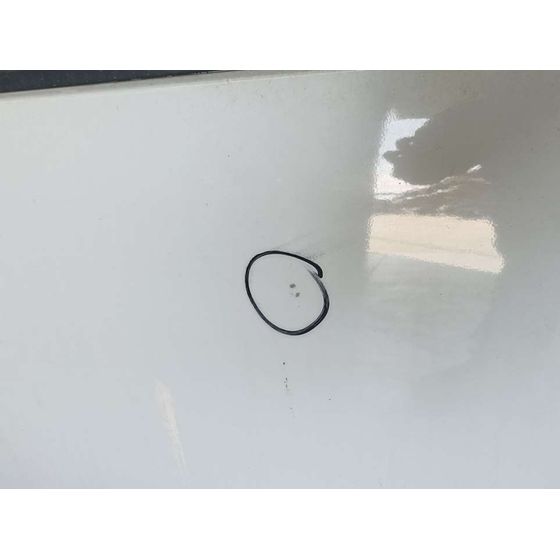 Puerta Trasera Izquierda Para Dacia Lodgy