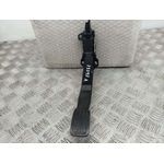 Potenciometro Pedal Para Citroen C4