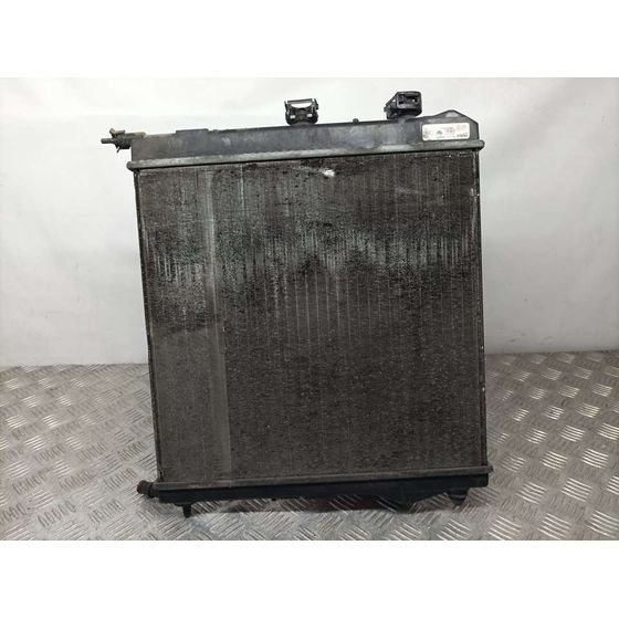 Radiador Agua Para Peugeot 207