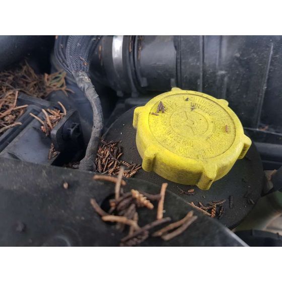 Bomba Direccion para Land Rover Range Rover (Lm)