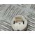 Boton Start/Stop para Land Rover Freelander (Lr2)
