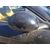 Retrovisor Derecho para Alfa Romeo Gt (125)