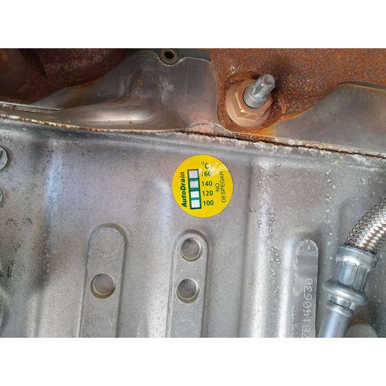 Motor Completo para Ford Fiesta (Ce1)