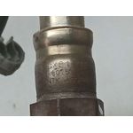 Sonda Lambda para Ford Kuga