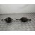 Transmision Delantera Izquierda para Ford Focus Lim. (Cb4)