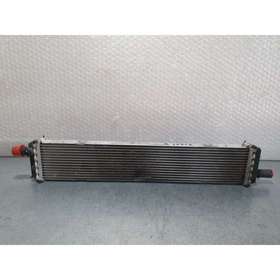 Radiador Agua Adicional para Renault Clio V