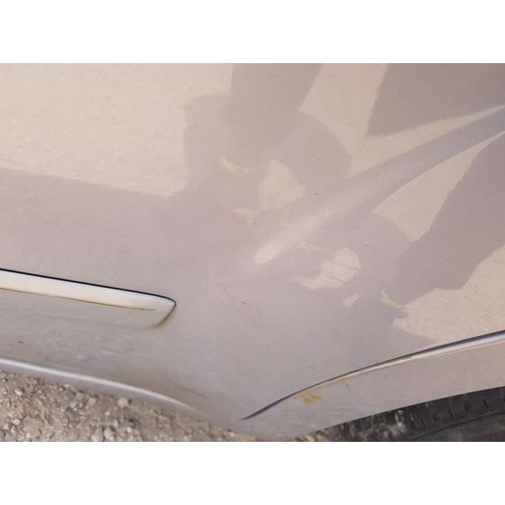 Puerta Trasera Izquierda para Ford S-Max (Ca1)