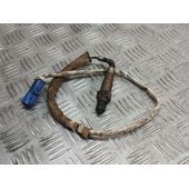 Sonda Lambda para Ford Focus Lim.
