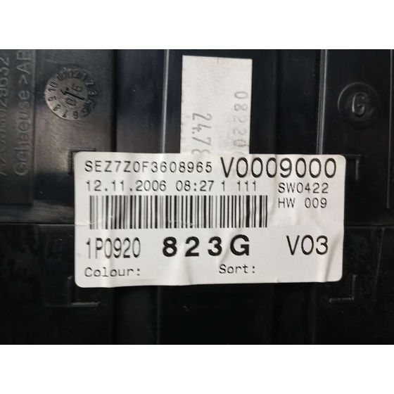 Cuadro Instrumentos para Seat Leon (1P1)