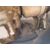 Cremallera Direccion para Toyota Proace
