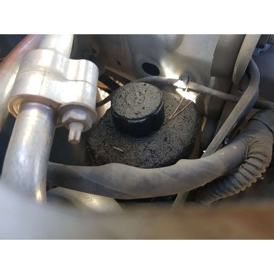 Bomba Direccion Electrica para Ford Focus C-Max (Cap)