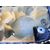 Tapa Motor para Kia Rio (Yb)