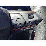 Volante para Cupra Formentor