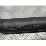 Amortiguadores Maletero / Porton para Bmw X2 (F39)