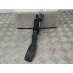Potenciometro Pedal para Ford Fiesta (Ce1)
