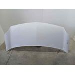 Capot para Renault Kangoo
