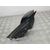 Retrovisor Derecho para Bmw X3 (E83)