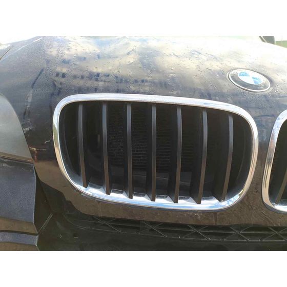 Rejilla Delantera para Bmw X5 (E70)
