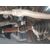 Transmision Delantera Derecha para Dacia Sandero