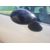 Retrovisor Derecho para Bmw Mini (R50,R53)