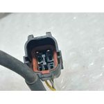 Camara para Mg Zs