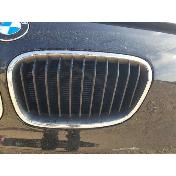 Rejilla Delantera para Bmw Serie 1 Lim. (F20)